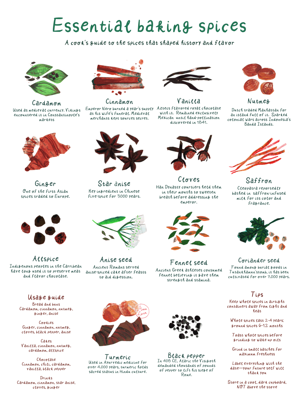 The Illustrated Kitchen